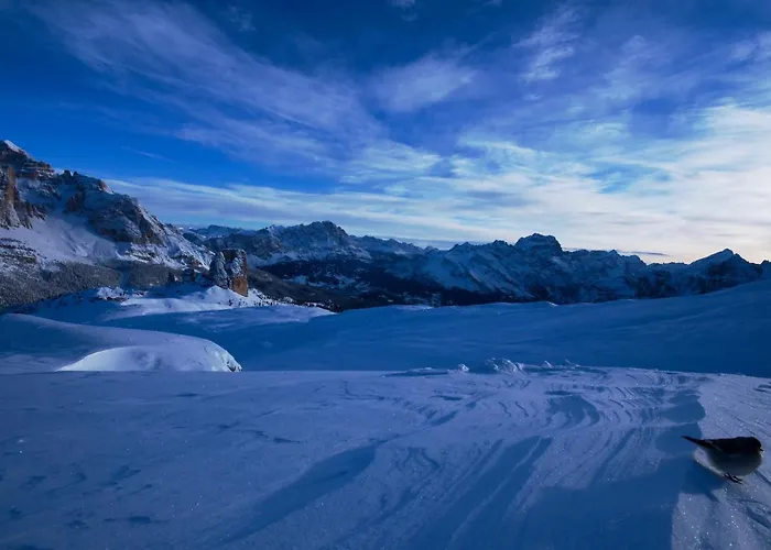Hotel Cristallino D'Ampezzo 4*