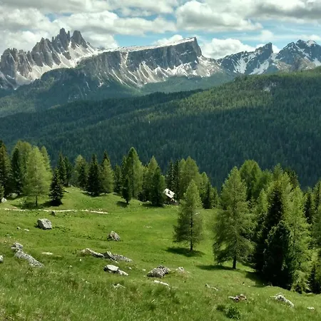 Hotel Cristallino D'Ampezzo 4*